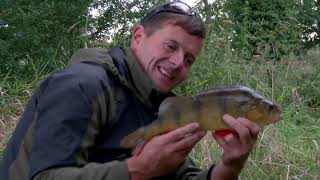 GARETH CATCHES BIG PERCH ON THE RIVER TEST [upl. by Elinnet]