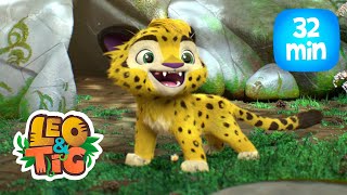 Leo amp Tig  Coleção de episódios  Desenhos infantil 🐯🦁 [upl. by Vaclav]