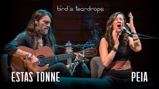 Birds Teardrops  Estas Tonne feat Peia  Ashland Oregon 2018 [upl. by Eldin675]