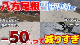 【減りすぎ注意】八方が暑すぎ！早期クローズもありえる3月31日八方尾根スキー場ゲレンデレポート [upl. by Rahal903]