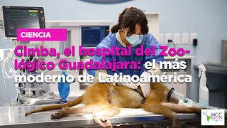 Cimba el hospital del Zoológico Guadalajara el más moderno de Latinoamérica [upl. by Leifeste275]