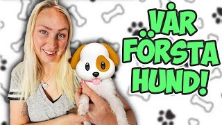 Vi hämtar och träffar vår hund🐶 [upl. by Lillie15]