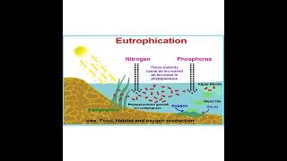 EUTROPHICATION concept 8 EXPLAINED [upl. by Efram656]