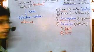 Vaccines part 3  live attenuated vaccines [upl. by Ellga917]