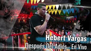 Hebert Vargas  Después del adiós  En Vivo Pereira [upl. by Rovit]