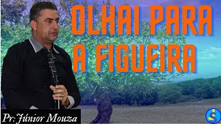 OLHAI PARA A FIGUEIRA  PR JÚNIOR MOUZA pregação assembleiadedeus [upl. by Enelyaj]