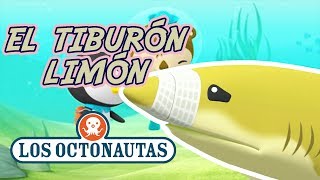 Los Octonautas Oficial en Español  El tiburón Limón perdido  Episodio 42 [upl. by Ocirled]