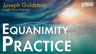 Equanimity Practice with Joseph Goldstein  Insight Hour Podcast Ep 161 [upl. by Meghan172]