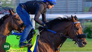 Stronghold and Others Record Final Breezes 2024 Kentucky Derby 150 Training 42824 [upl. by Ulberto]