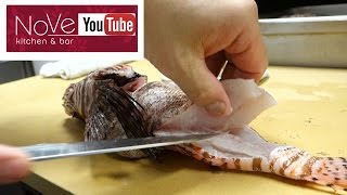 VENOMOUS Lionfish Sashimi  How To Make Sushi Series [upl. by Cirederf]