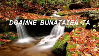 DOAMNE BUNATATEA TA  Nelu Mot [upl. by Eedna542]