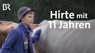 Ferien auf Allgäuer Alpe Kleinhirte mit 11 Jahren  Zwischen Spessart und Karwendel  BR [upl. by Neil]