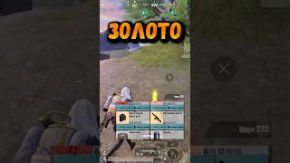 Золото это всегда хорошо metroroyale метророяль pubgmobile [upl. by Ynottirb102]