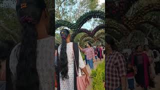 Flower Show 🌺❣️😍shortvideo shorts short youtubeshorts reels flowers trending india [upl. by Yancey]