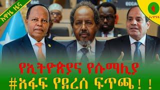 Alemneh wase የኢትዮጵያና የሱማሊያ አፋፍ የደረሰ ፍጥጫ [upl. by Lauter]