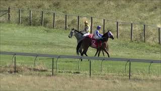 Tumbarumba 27 01 2024 Race 6 [upl. by Haniraz204]