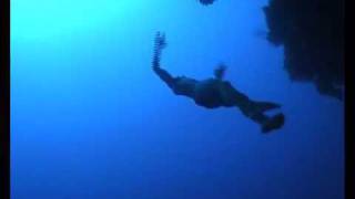 William Trubridge freedives THE ARCH at Blue Hole Dahab [upl. by Clabo]