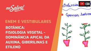 Me Salva BOT32  Botânica  Fisiologia vegetal Dominância apical da auxina Giberilinas e Etileno [upl. by Niamreg]