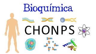 🧬 ¿Qué es la Bioquímica ⚗️ Y su IMPORTANCIA 🧫 Fácil y Rápido  BIOLOGÍA  QUÍMICA [upl. by Airehtfele]