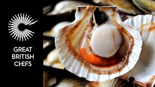 How to open a scallop [upl. by Caitrin]