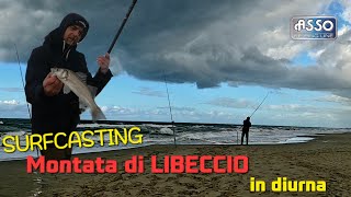 Montata veloce di Libeccio in diurnamare da Surfcasting [upl. by Mayda]