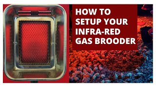 How to Install Infrared Gas Brooder for Your Chicken Brooding House [upl. by O'Neill]