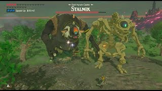 Zelda Breath of the Wild Hinox meets Stalnox [upl. by Cadmarr120]