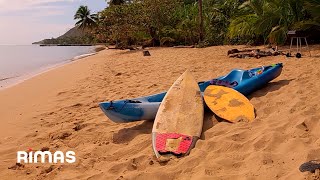 Bad Bunny  Neverita 360° Visualizer  Un Verano Sin Ti [upl. by Sylado]