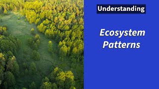 Ecosystem Patterns [upl. by Ahsinwad334]