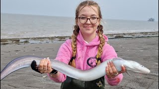 Bristol channel reef fishing [upl. by Allimrac]