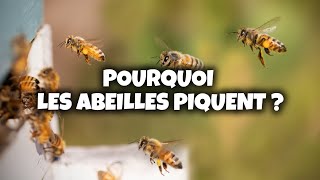 🐝 Pourquoi les Abeilles PiquentElles [upl. by Brandise]