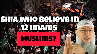 Are Shia who believe in 12 Imams Muslims assim assim al hakeem [upl. by Eislehc256]