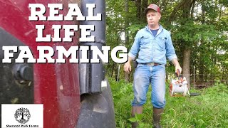 Life on a Farm What YouTube Isnt Showing You [upl. by Knut]