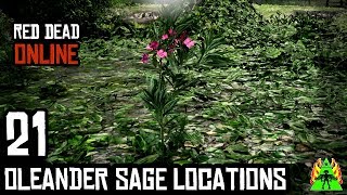 Red Dead Redemption 2 ONLINE  OLEANDER SAGE LOCATIONS [upl. by Undis]