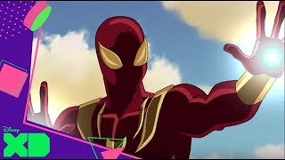 Marvel Ultimate SpiderMan  Encallados  Disney XD España [upl. by Mouldon]