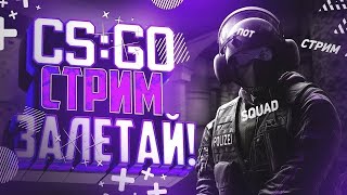 🔥СТРИМ ПО CS2 РОЗЫГРЫШ В ЗАКРЕПЕ ПРАЙМ ЗА БАЛЛЫ НА TWITCH cs2 counterstrike2 shorts 🔥 [upl. by Portie151]