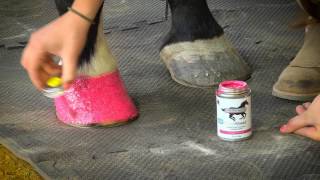 ColorShield Instant Hoof Protection amp Polish [upl. by Krenn]