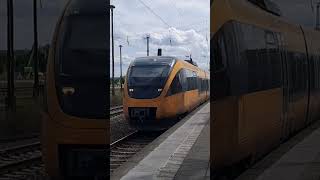 Ausfahrt von RB12 nach Templin Stadt in Oranienburg August2024 [upl. by Garmaise]