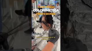 🌈Aprende COLORIMETRÍA DEL CABELLO balayage cursoonline estilistas hair colorimetria loreal [upl. by Grew]