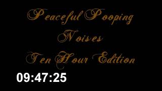 Peaceful Pooping Noises Ten Hour Edition [upl. by Tyree]