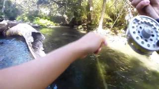 Fly fishing GoPro  Pesca fina Pucón 2016 TRUCHAS Y MOSCAS CHILE [upl. by Eissel]