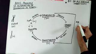 XI Botany Topic quotBasic Principle of Alternation of Generation in Plantsquot Lecture 1 [upl. by Milda198]