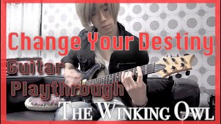 The Winking Owl  Change Your Destiny Guitar Playthrough [upl. by Gae]