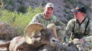 Arizona Desert Bighorn Sheep Hunt [upl. by Asirac]