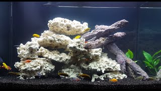 Setting Up a 65 Gallon African Cichlid Aquarium [upl. by Otreblon]