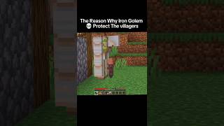 The Reason Why Iron Golem 💀Protect The Village funny minecraft viralshort [upl. by Trinia]