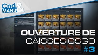 Ouverture de caisses 3  Caisses darmes CSGO 2 [upl. by Naellij82]