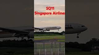 ✈️SQ12 Singapore Airlines Boeing 777300 ER singapore singaporeairline shorts [upl. by Ahilam505]