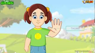 Learn the Parts of the Body  THE HAND  COOL Science for Kids [upl. by Phaih]