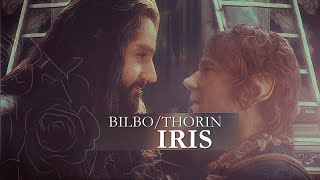 ThorinBilbo  Iris [upl. by Ellevel]